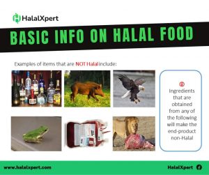 Basic Info on Halal Food